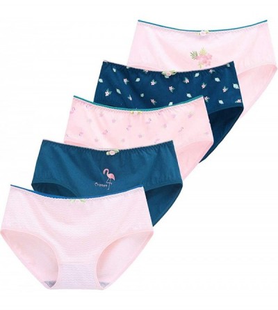 Panties Women or Teen Girls Cotton Underwear Lingerie Panties Smooth Brief Set - 5 Pack Ol7305 - C618A3SOHND $20.10