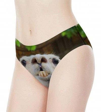 Panties Funny Animal Womens Underwear Sexy Naughty Briefs Gift for Bachelorette Party - Funny Alpaca - CE193QO8RG6 $14.64