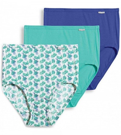 Panties Women's Plus Size Elance Brief 3-Pack - Green/Purple/Palm - C618WAA7YD7 $49.29