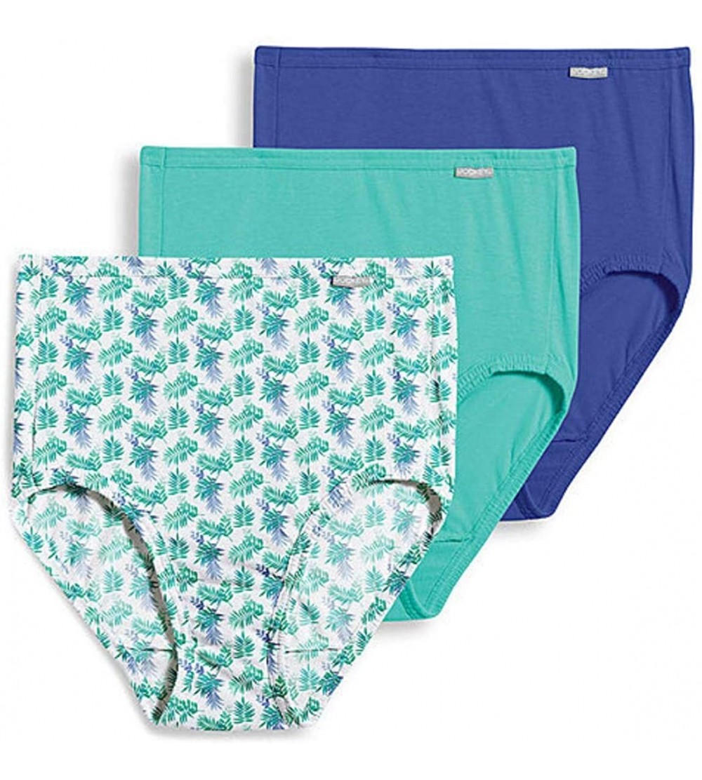 Panties Women's Plus Size Elance Brief 3-Pack - Green/Purple/Palm - C618WAA7YD7 $26.17