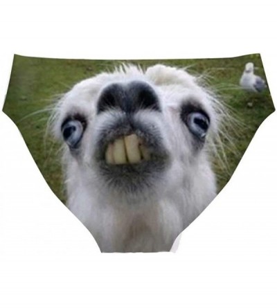 Panties Women's Sexy Underwear Animal Fashion Bikini Briefs Pants for Bachelorette Party - Funny Alpaca - C419CMTNSL0 $21.27