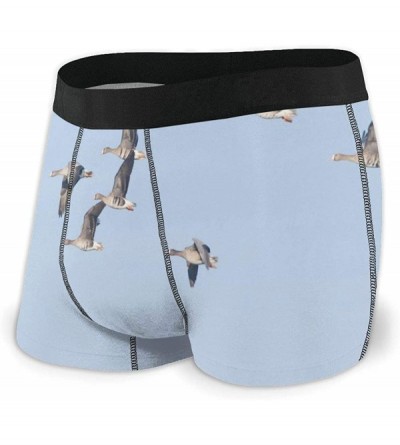 Boxer Briefs Mens Boxer Briefs Underwear Unique Chamomile Flower Comfy Breathable Underpants for Men Youth Boys - Cute White ...