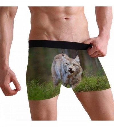 Boxer Briefs Cute Bobcat Wildlife Boxer Briefs Men's Underwear Boys Stretch Breathable Low Rise Trunks S - CQ18UQNEUSU $16.77