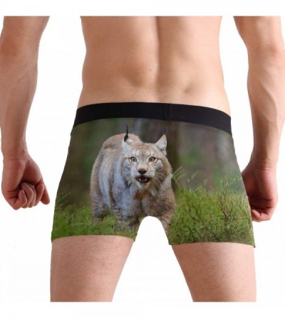 Boxer Briefs Cute Bobcat Wildlife Boxer Briefs Men's Underwear Boys Stretch Breathable Low Rise Trunks S - CQ18UQNEUSU $16.77