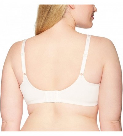 Bras Women's Plus Size - Rosewatr - CW187O9MUR3 $23.57