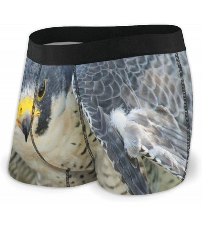 Boxer Briefs Mens Boxer Briefs Peregrine Falcon Bird Low Rise Trunks Breathable Bikini Underpants Boys Underwear - Multi - CQ...