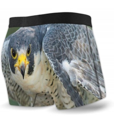 Boxer Briefs Mens Boxer Briefs Peregrine Falcon Bird Low Rise Trunks Breathable Bikini Underpants Boys Underwear - Multi - CQ...