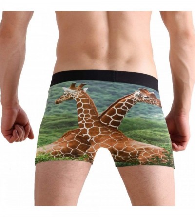Boxer Briefs Giraffe Lover Boxer Briefs Men's Underwear Boys Stretch Breathable Low Rise Trunks - Giraffe Lover - C818WE27ZL7...