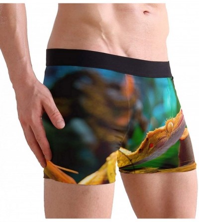 Boxer Briefs Awesome Reptile Gecko Lizard Men's Sports-Inspired Boxer Brief Stretch Trunks - CQ18OLTHTUH $13.41