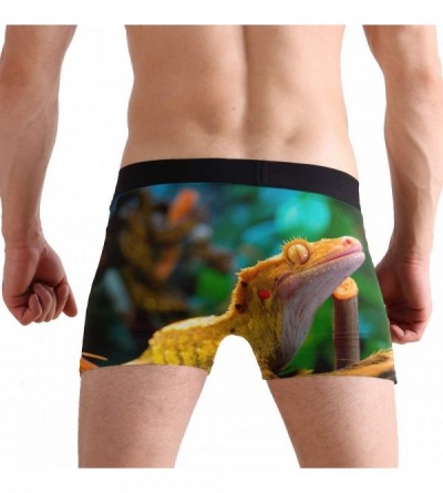 Boxer Briefs Awesome Reptile Gecko Lizard Men's Sports-Inspired Boxer Brief Stretch Trunks - CQ18OLTHTUH $13.41